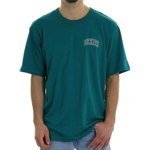 -T-SHIRT C UOMO/0A4Y8O PETROLIO